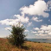 Landschaften Rügen