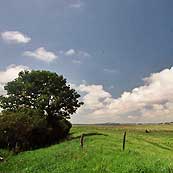 Landschaften Rügen